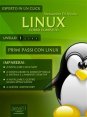 Linux