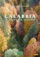 Calabria gran bosco