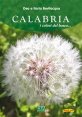 Calabria i colori del bosco